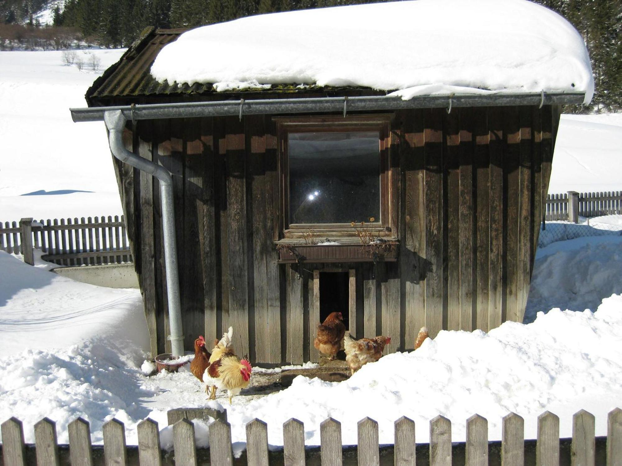 Apartment Near The Arlberg Ski Area Pettneu am Arlberg Εξωτερικό φωτογραφία